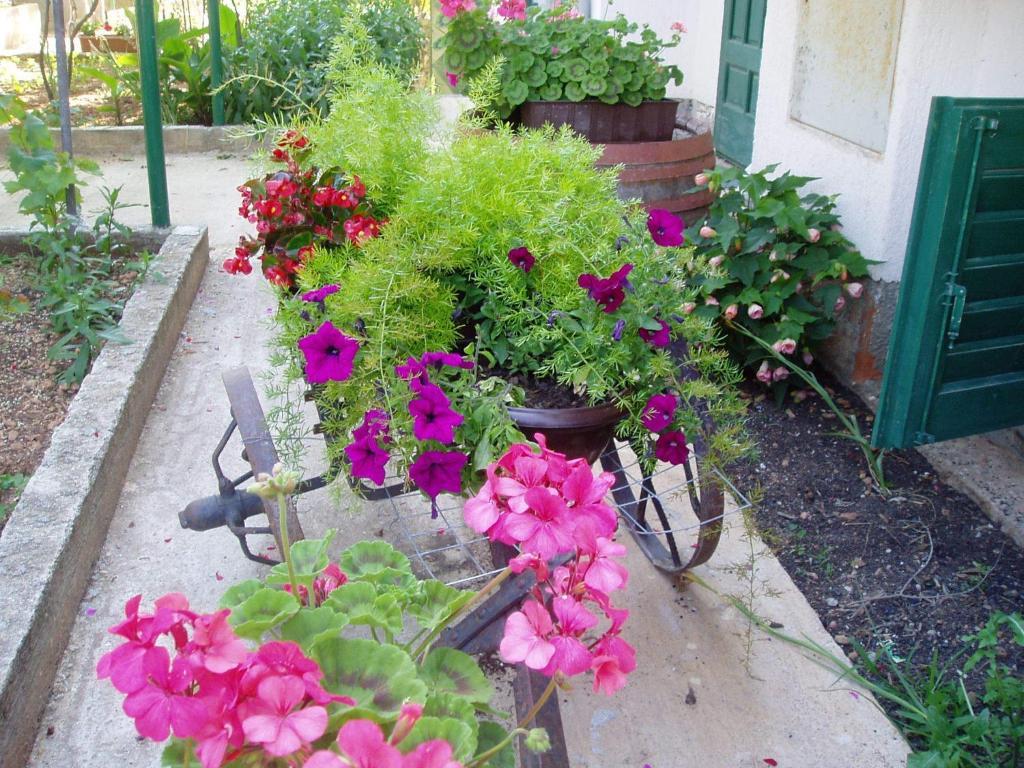Apartments Nada Водице Экстерьер фото